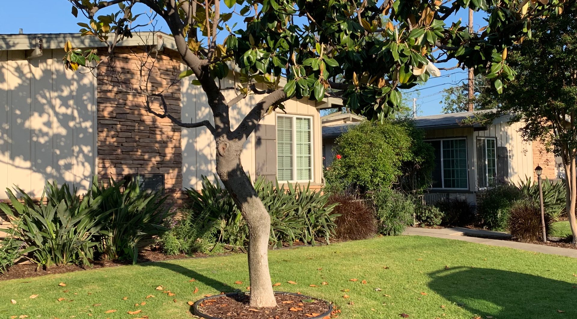 Monrovia Apartment: 116 Violet Ave.
