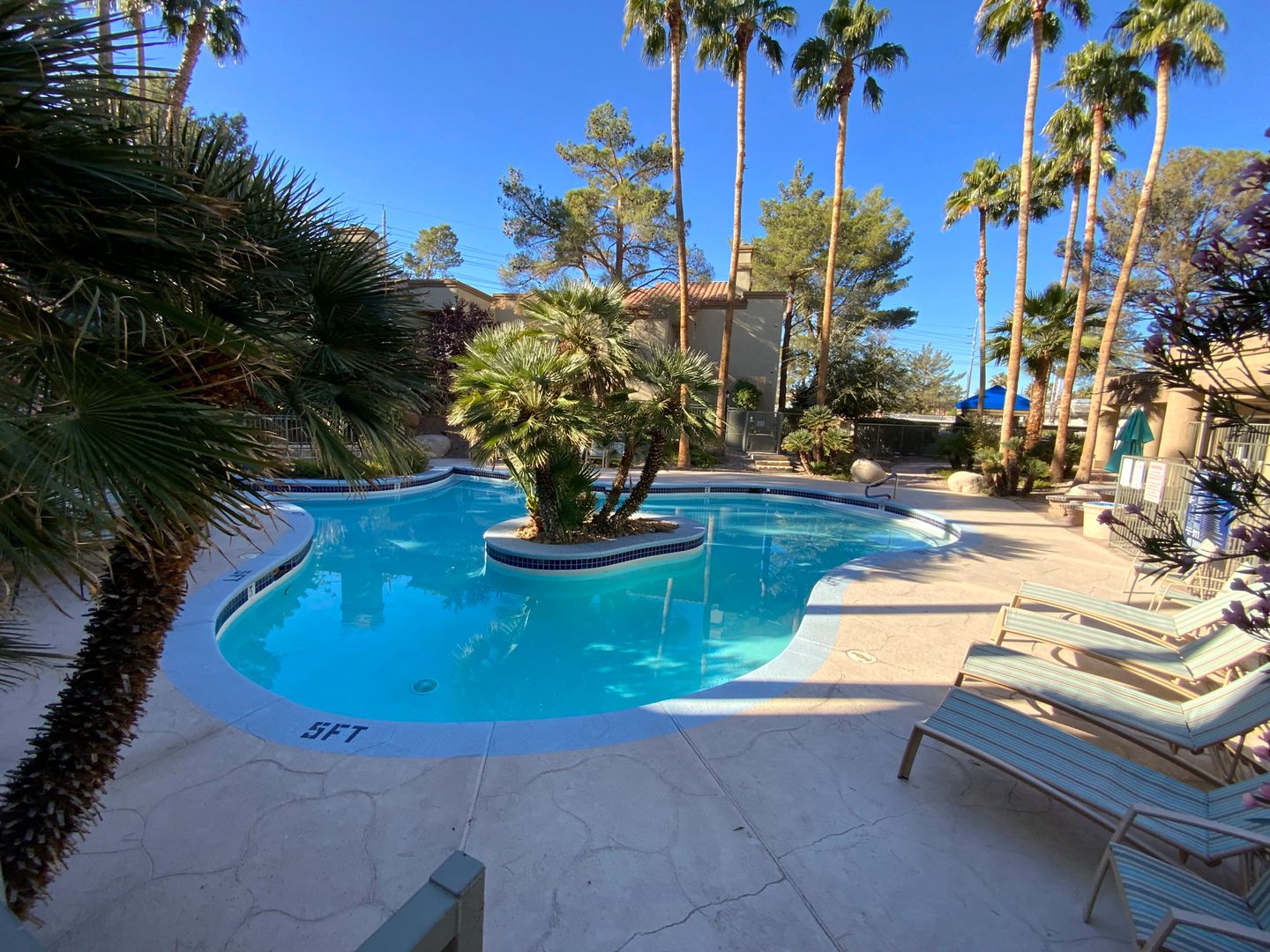 LAS VEGAS House: 3145 E FLAMINGO RD #2036