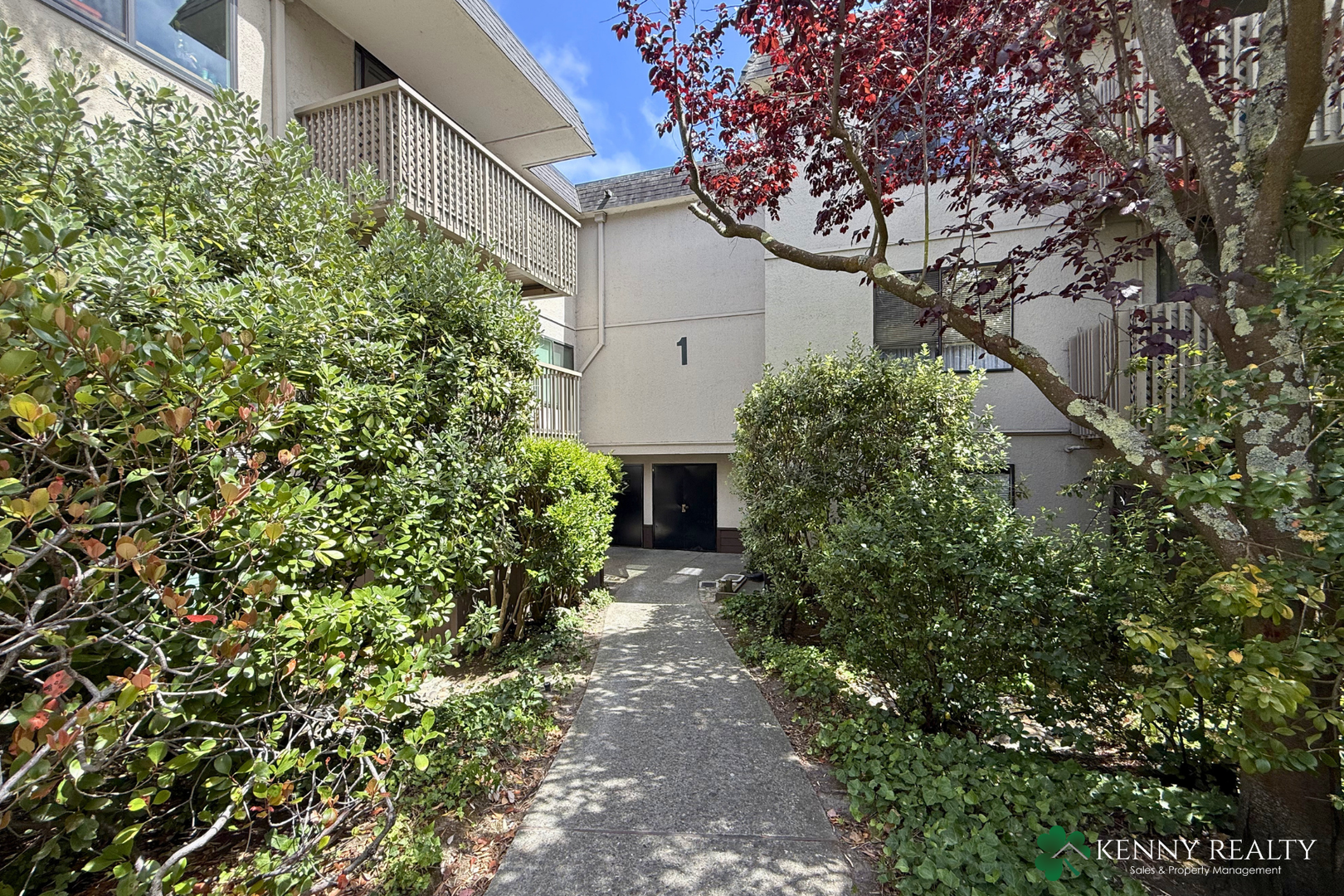 San Bruno House: 1248 Shelter Creek