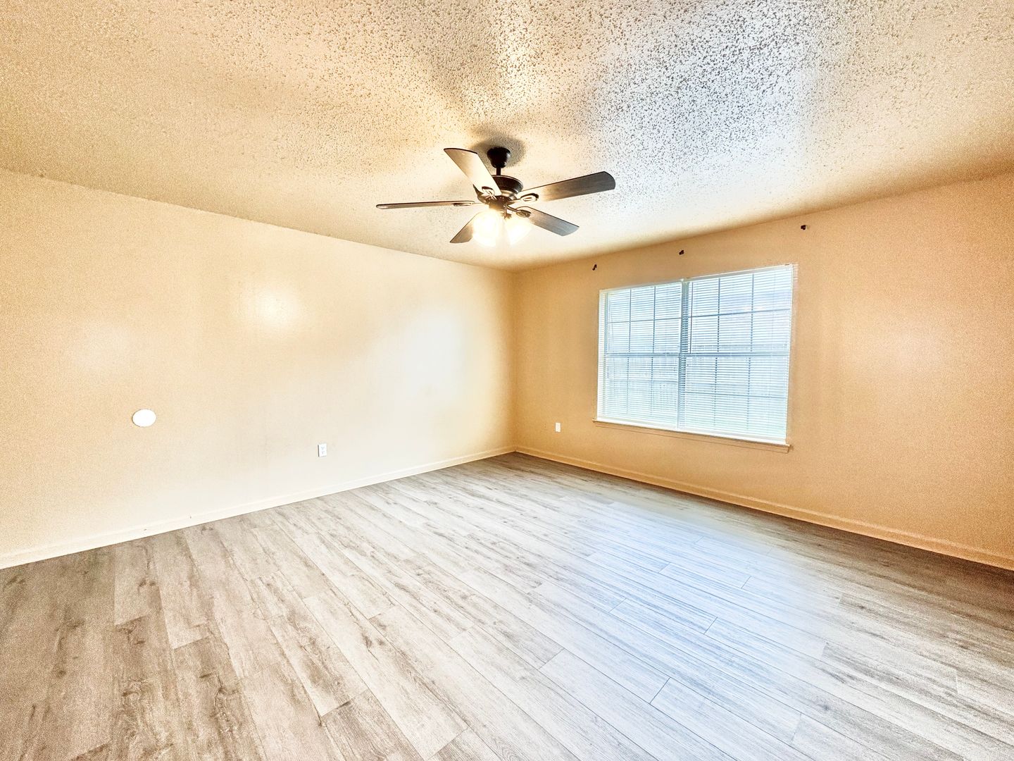 Baton Rouge House: 1411 Cottondale Unit A