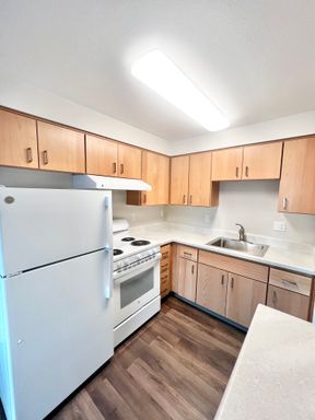 Newly Renovated 1 bedroom 1 bath, all utilities included! – photo 1