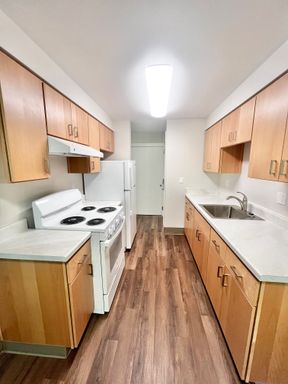 Newly Renovated 2 bedroom 1 bath, all utilities included! – photo 1