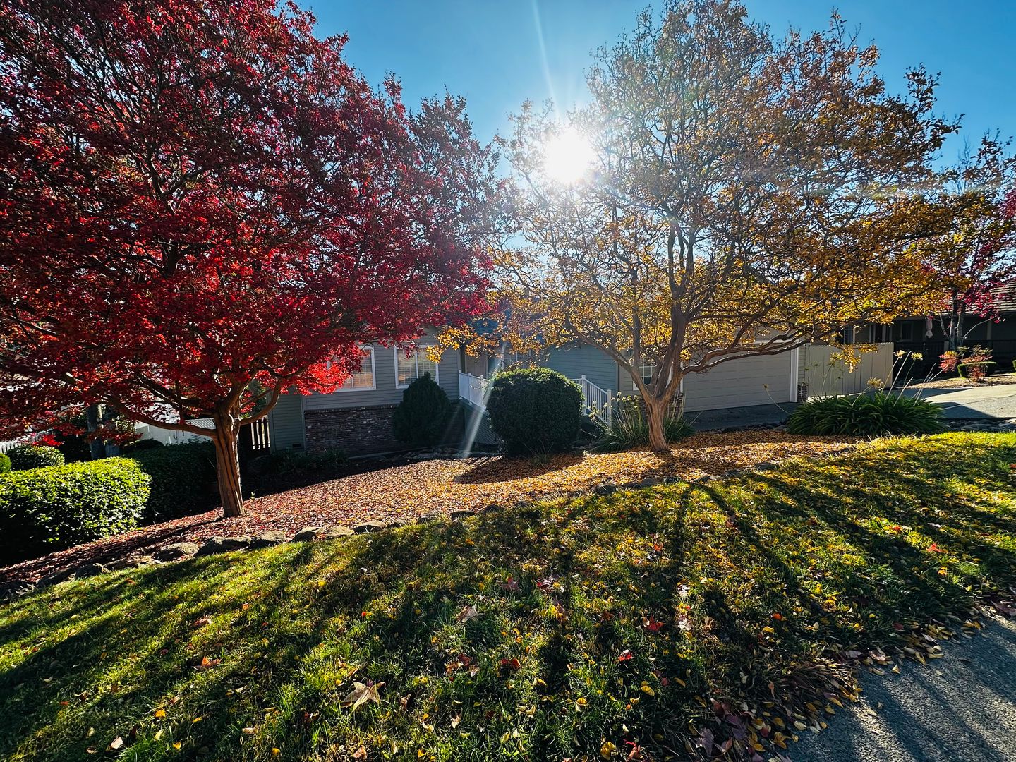 El Dorado Hills House: 1518 Sutter Creek Drive