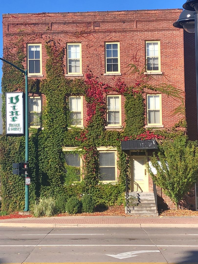 Iowa City Apartment: 529 S. Gilbert Street