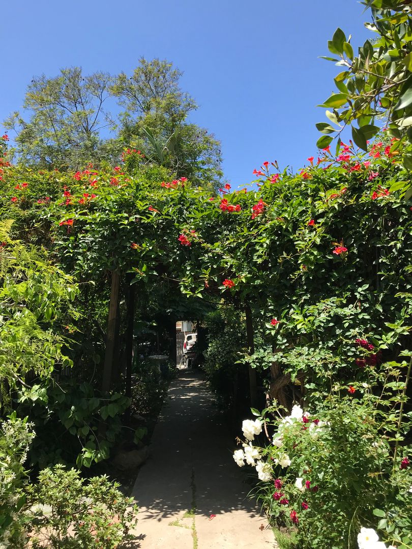 Los Angeles Apartment: 1752-1762 Garfield Place