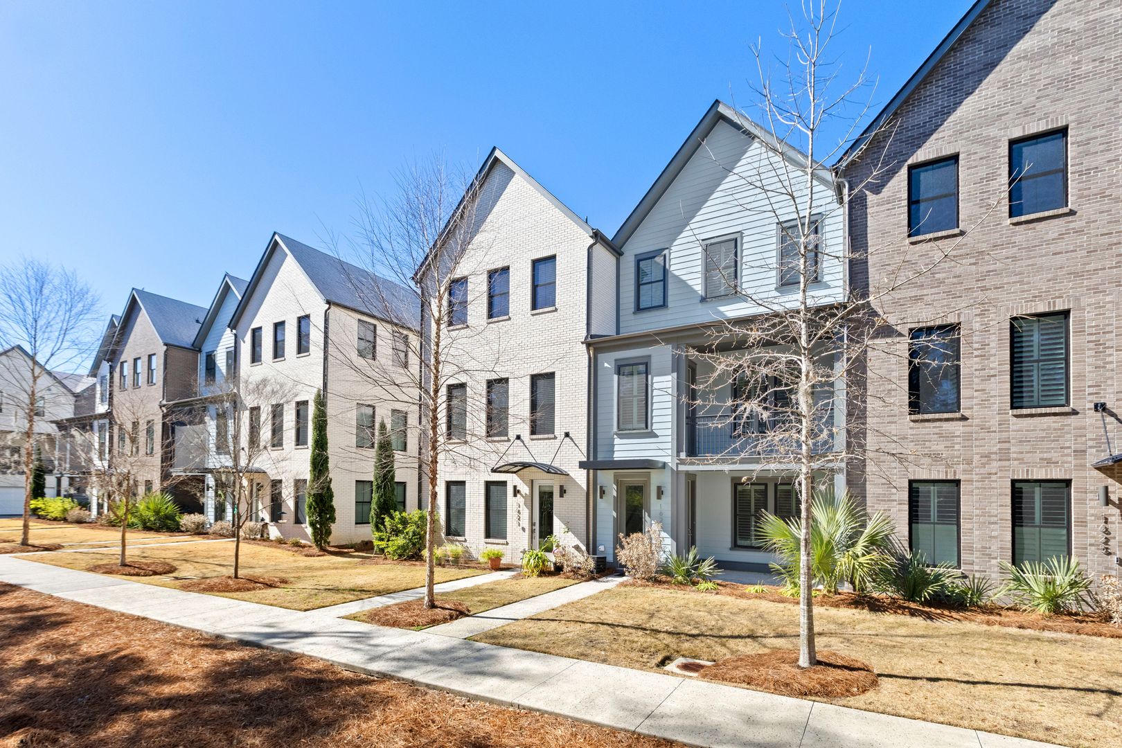 Mt Pleasant Townhome: 1623 Florentia St