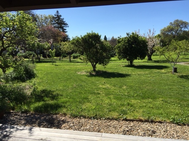 Davis House: 2514 Overhill Lane