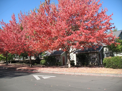 Cozy Townhome With Balcony! – photo 1