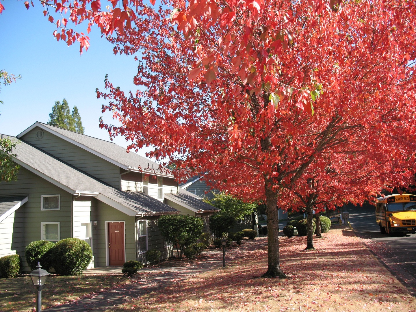 Salem Apartment: 3758 Mica View Court SE