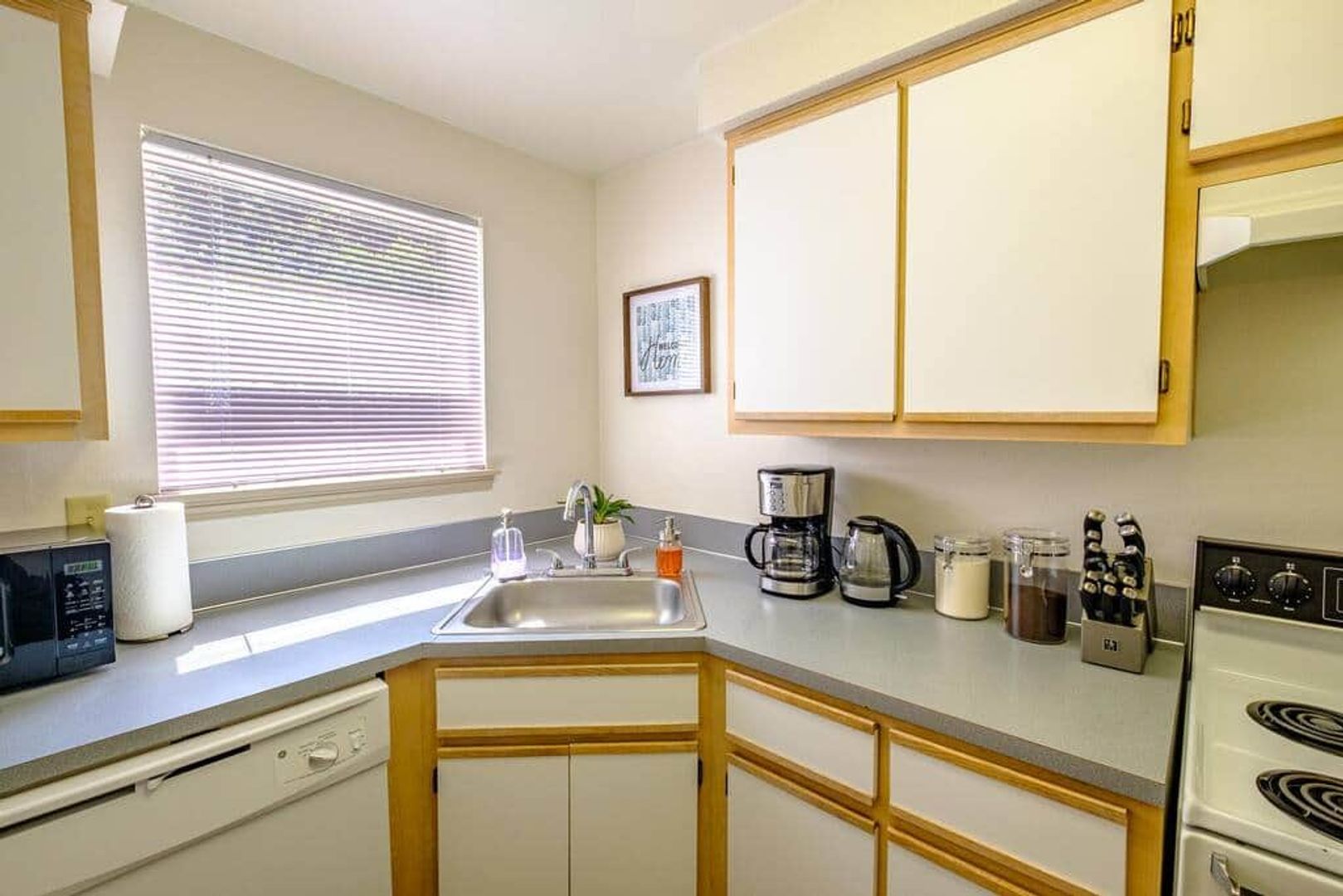 Salem Apartment: 3758 Mica View Court SE