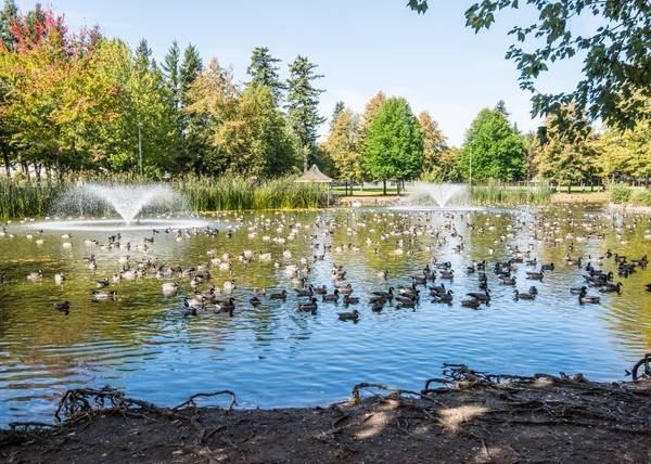 GRESHAM Apartment: 1645 NE 20th ST