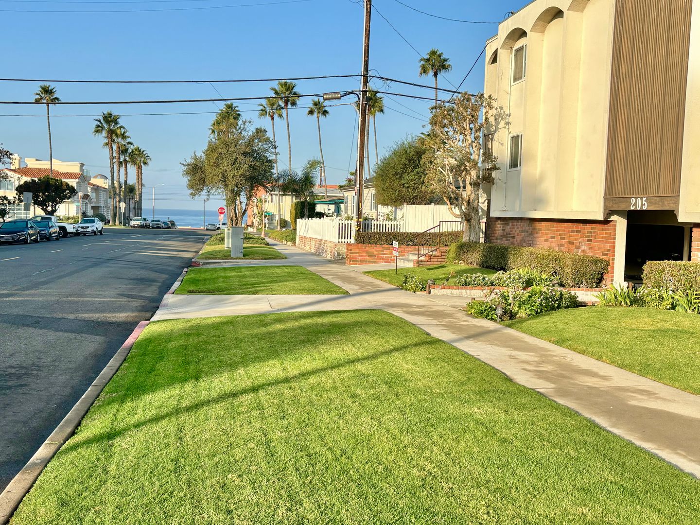 Redondo Beach Apartment: 205 Avenue H