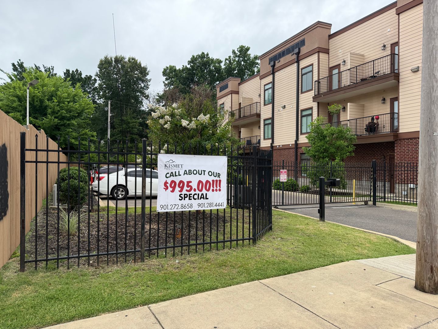Memphis Apartment: 1655 Madison Avenue