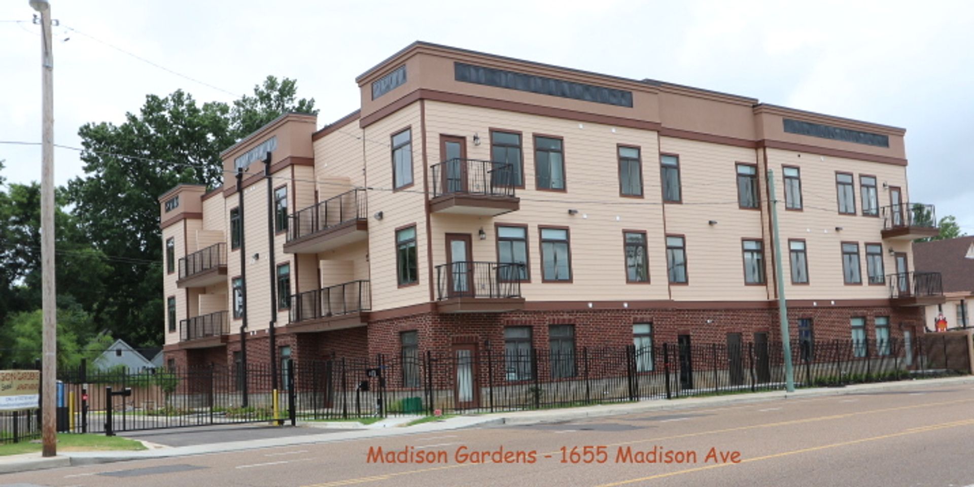 Memphis Apartment: 1655 Madison Avenue