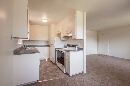 Spartan Oaks ** Move In Special $1000 OFF ** – photo 1