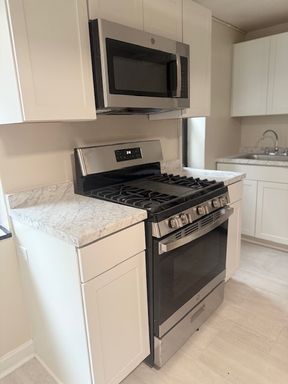 Renovated Hyde Park One Bedroom With Private Entrance – photo 1