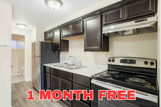 1341 Ogden Street, 204, Denver, CO 80218