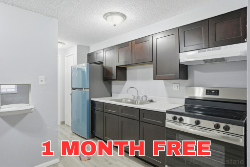 1341 Ogden Street, 202, Denver, CO 80218