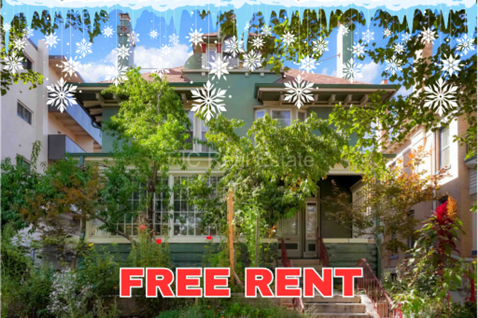 Denver Apartment: 1415 Race Street