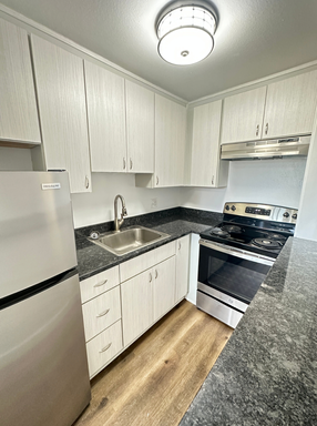 3377 S Clarkson St #203 | 1 MONTH FREE - Renovated 1-Bed Near Swedish Hospital + South Broadway! – photo 1