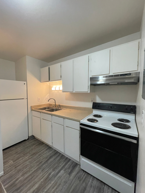 Willow Ridge #31 | 1 MONTH FREE - Renovated 1-Bed in Colorado Springs! – photo 1