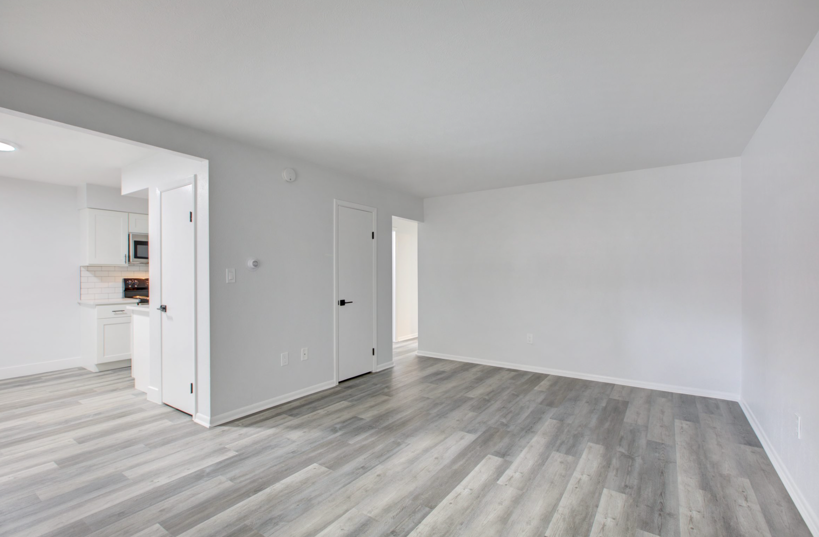 Denver Apartment: 1974 S University Blvd