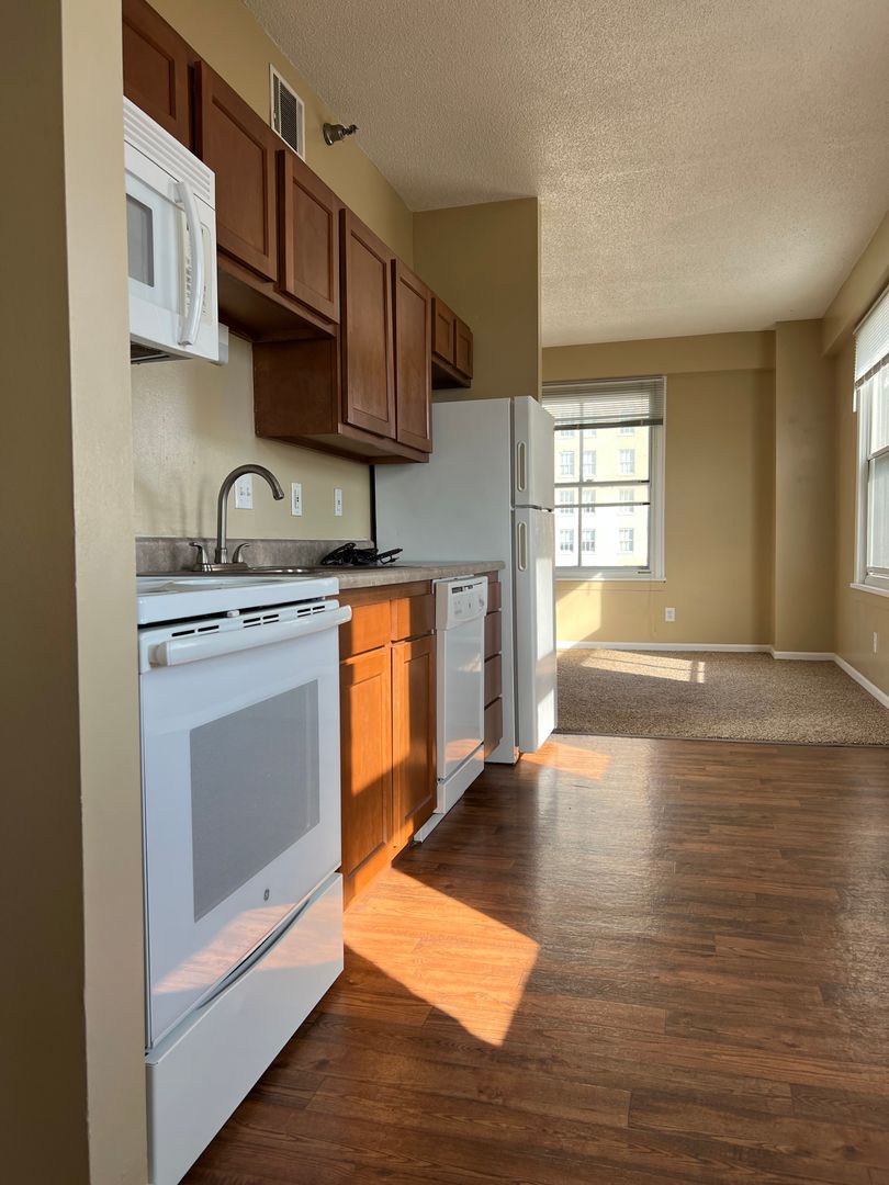 Omaha Apartment: 505 S 16th Street
