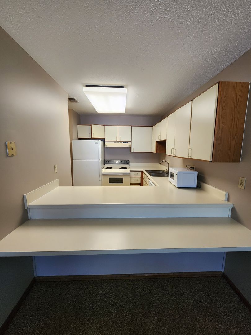 Omaha Apartment: 1730 S 11th St