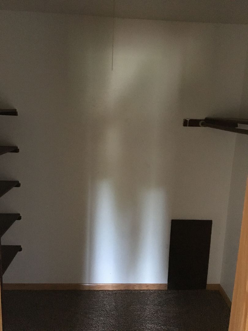 Rothschild Apartment: 29 Alexander Ave