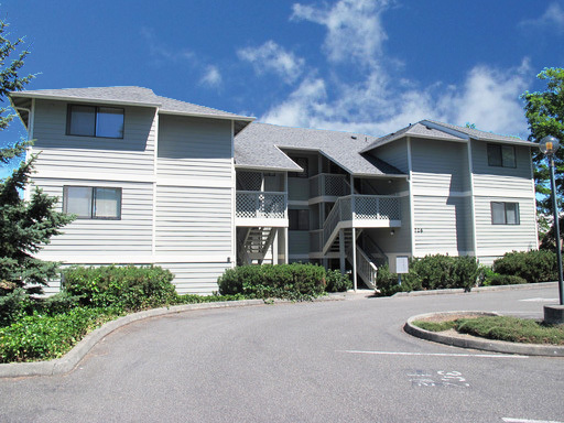 Oversized 2 Bed/1.5 Bath Apt Home, Central Location! – photo 1