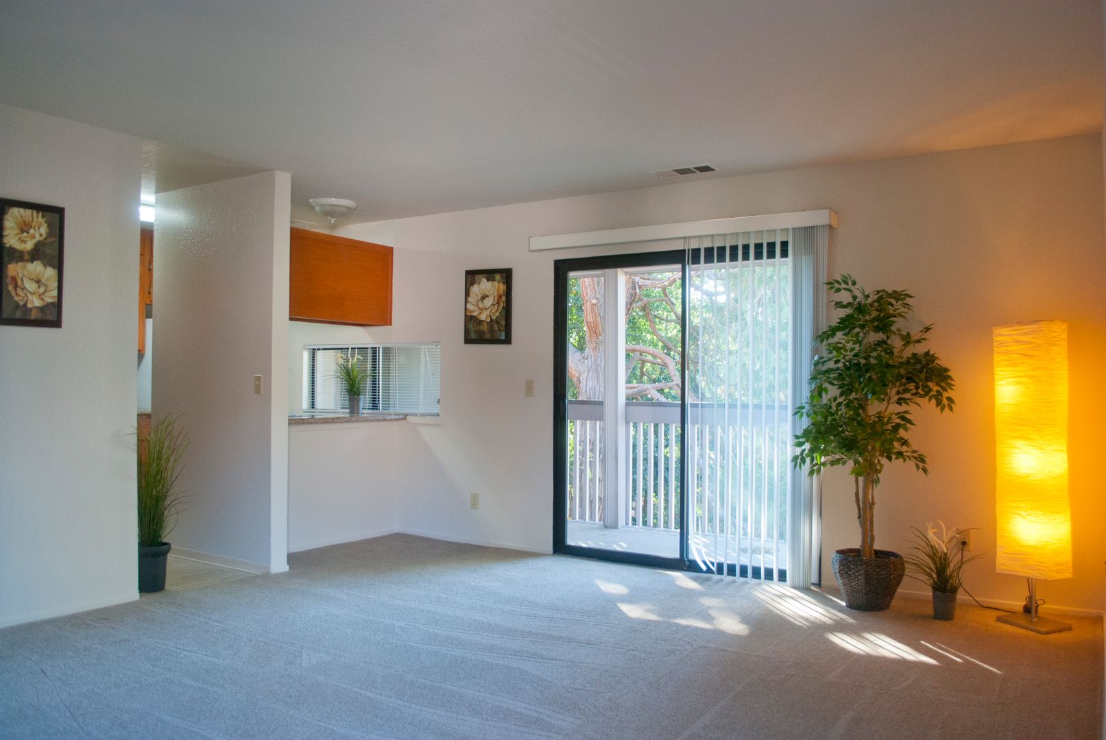 Concord Apartment: 1100 Victory Lane