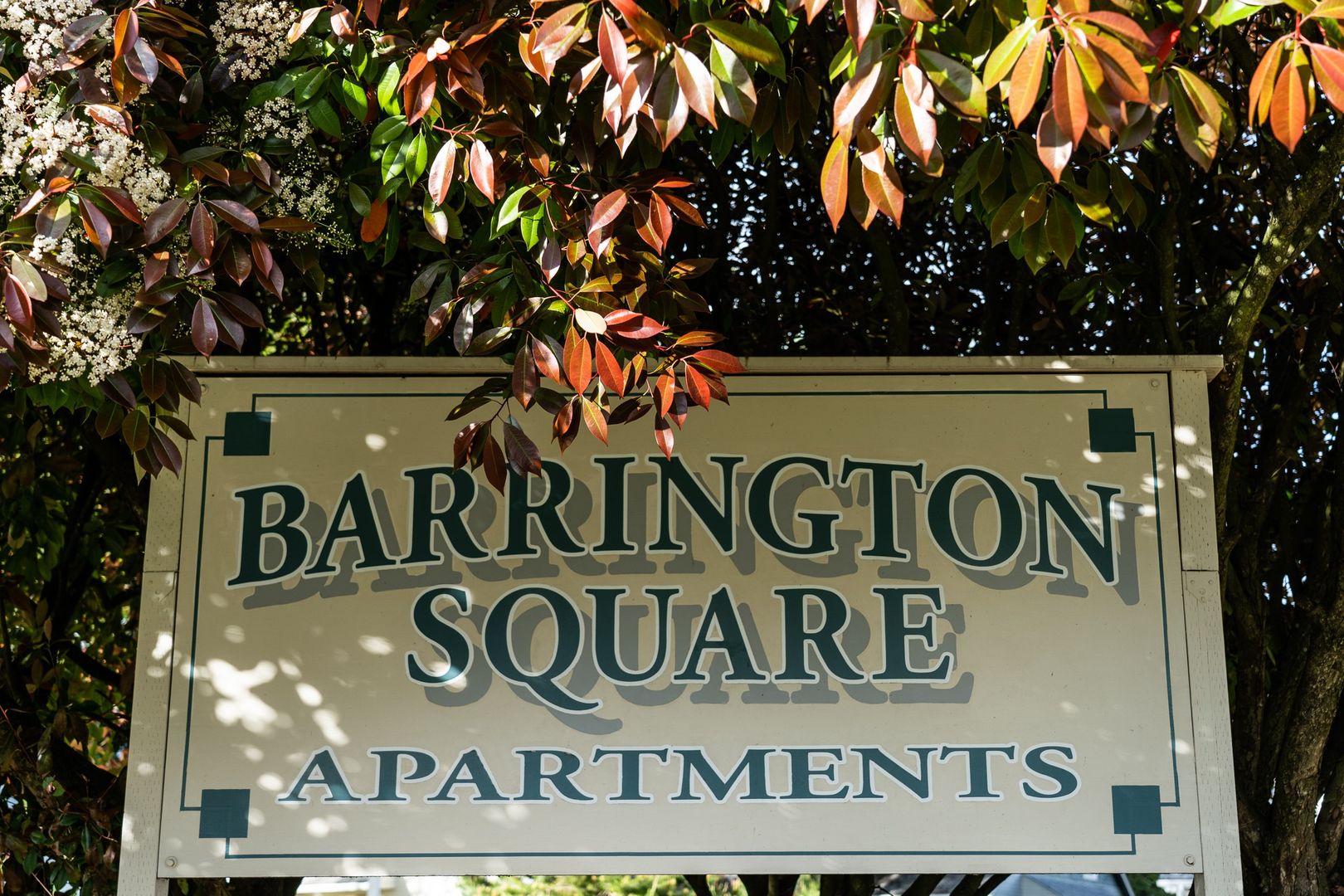 Albany Apartment: 1823 27th Ave SE