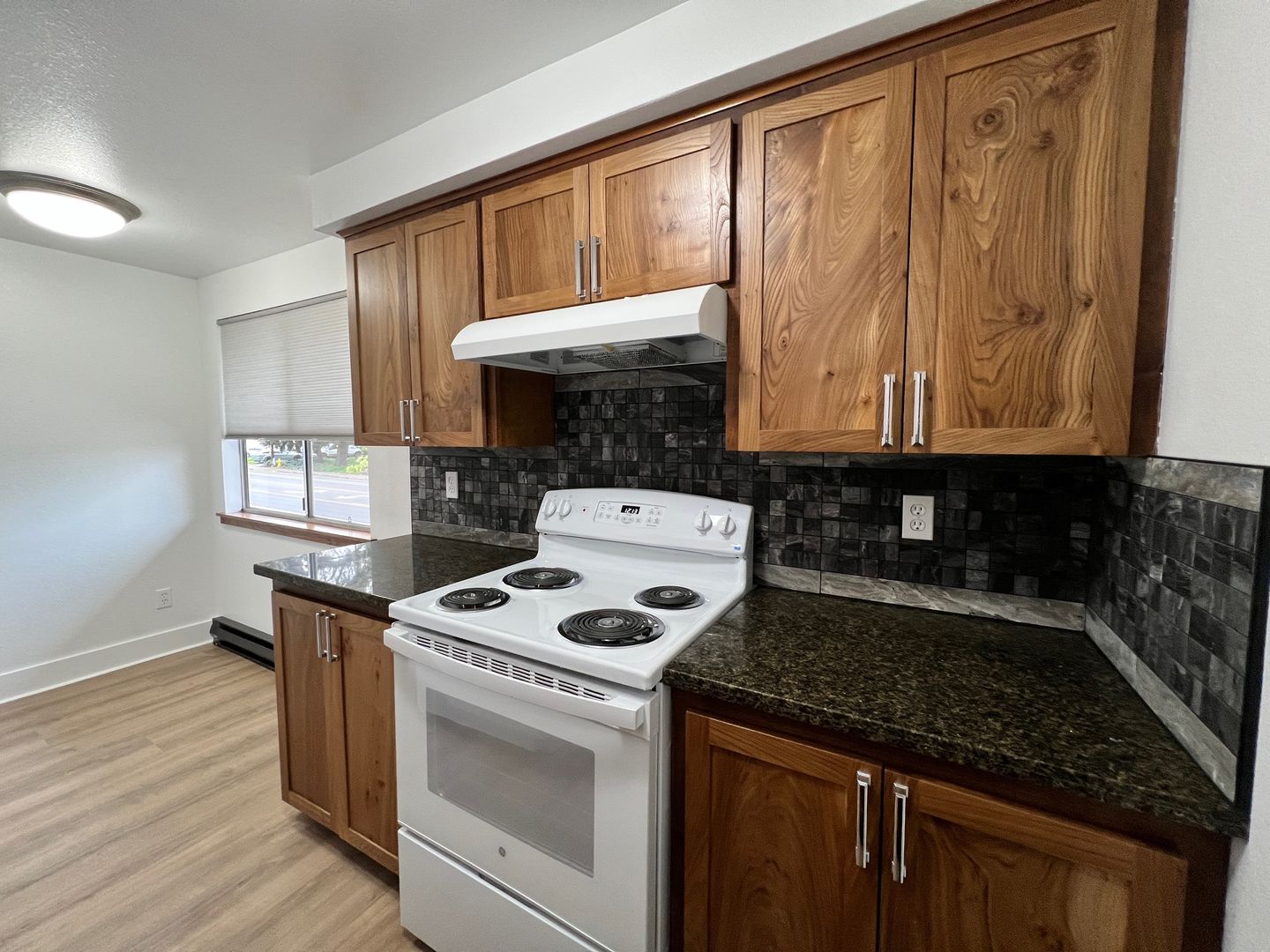 Albany Apartment: 1837 Queen Ave