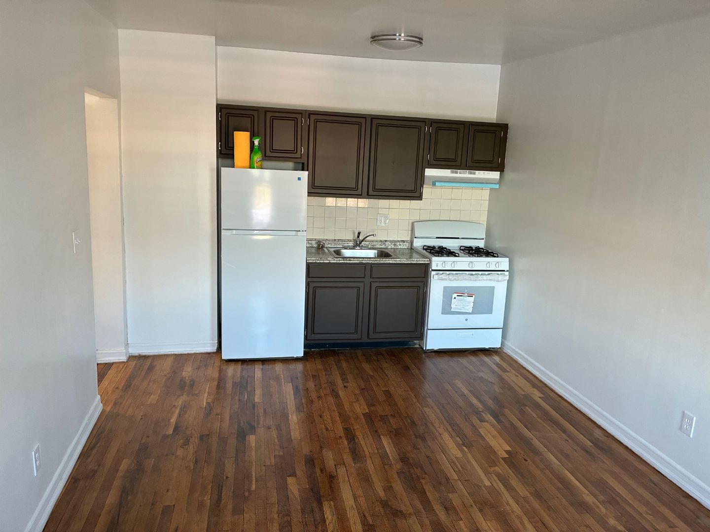Bronx Apartment: 1325 Lafayette Avenue