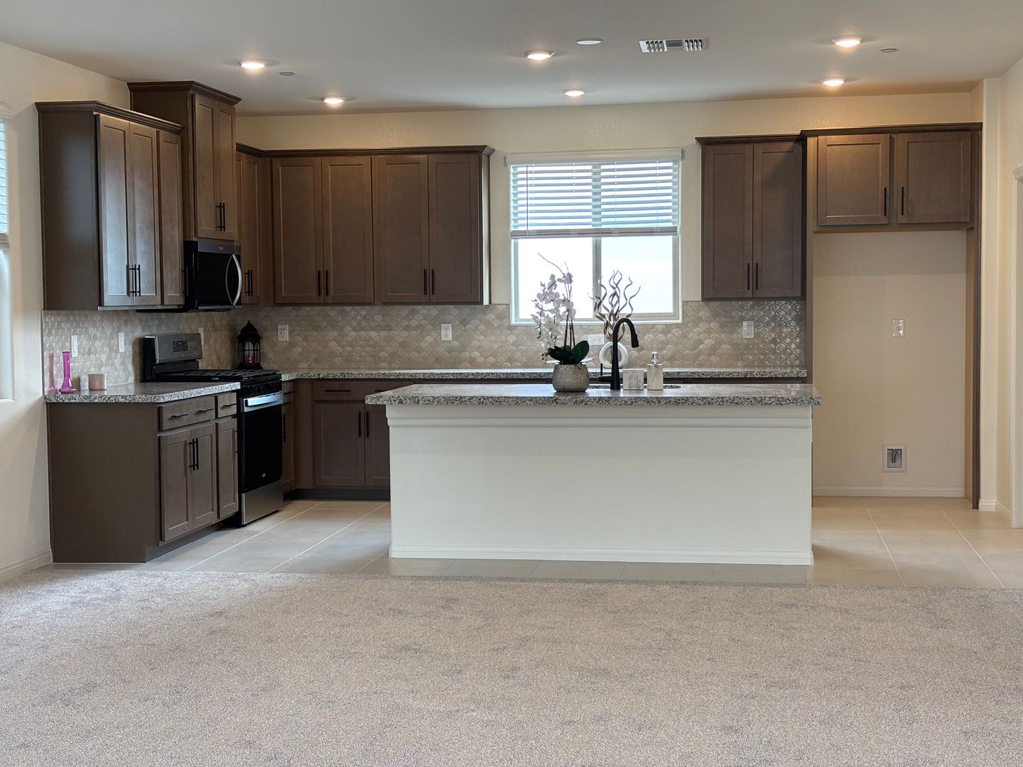 Las Vegas House: 1505 Little Penguin Street