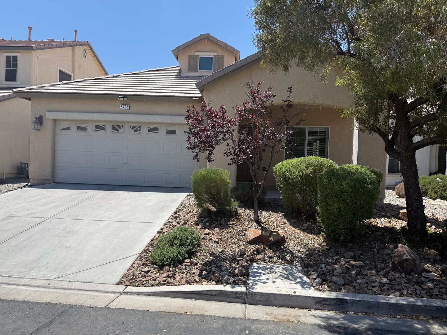 North Las Vegas House: 3739 Prairie Orchid Avenue