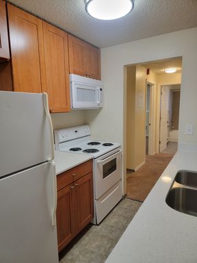 Your Dream One Bedroom: Unwind in Style, Live in Comfort! ⚜ Look & Lease Specials ⚜ One Month Free. – photo 1