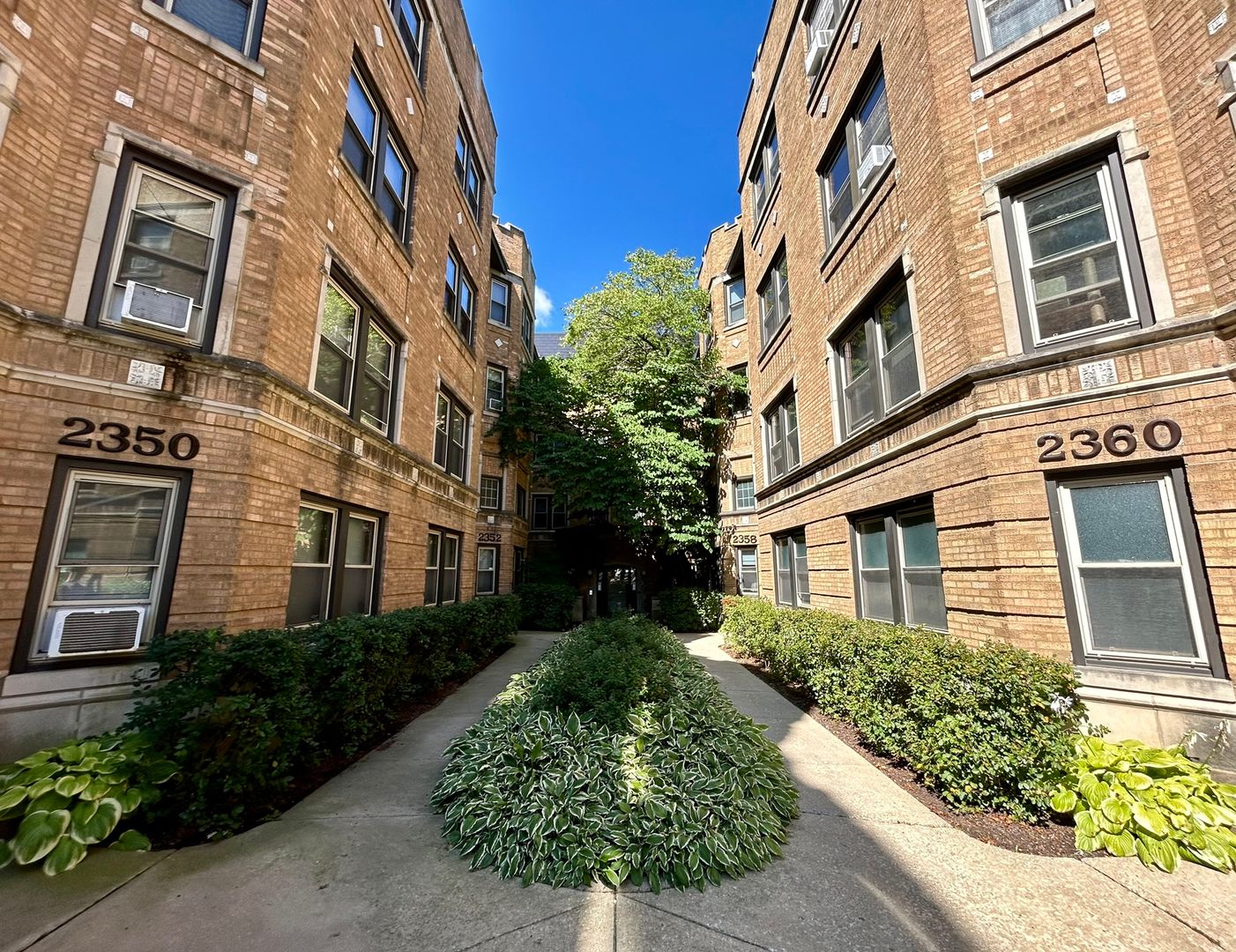 Chicago Apartment: 2339 N. Geneva