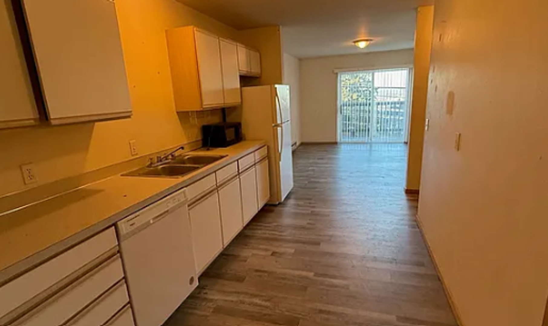 Bellingham Apartment: 508 E Ivy Street