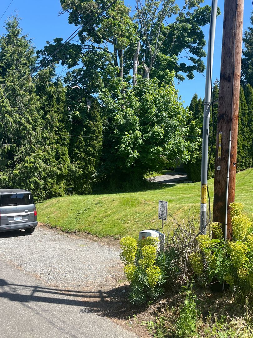 509 N. Forest 15 of 15