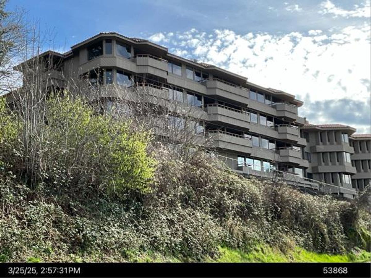 Bellingham Condo: 317 N. State #306