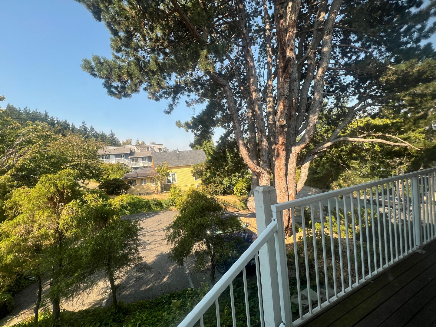 Bellingham Apartment: 924 21st Street