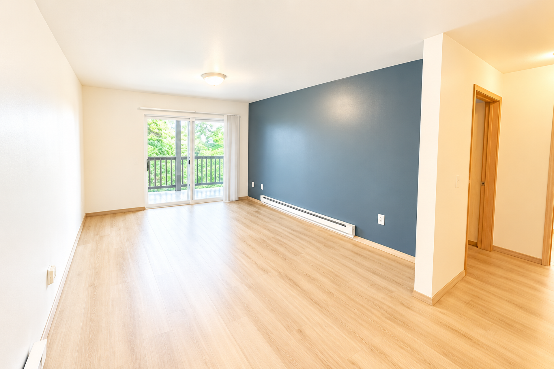 Bellingham Apartment: 508 E Ivy Street