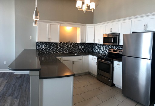 Stunning 2-Bedroom Apartment in Cleveland's Warehouse District – photo 1