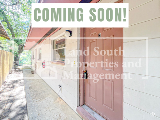 1 Bedroom Apt. - Downtown Lakeland – photo 1