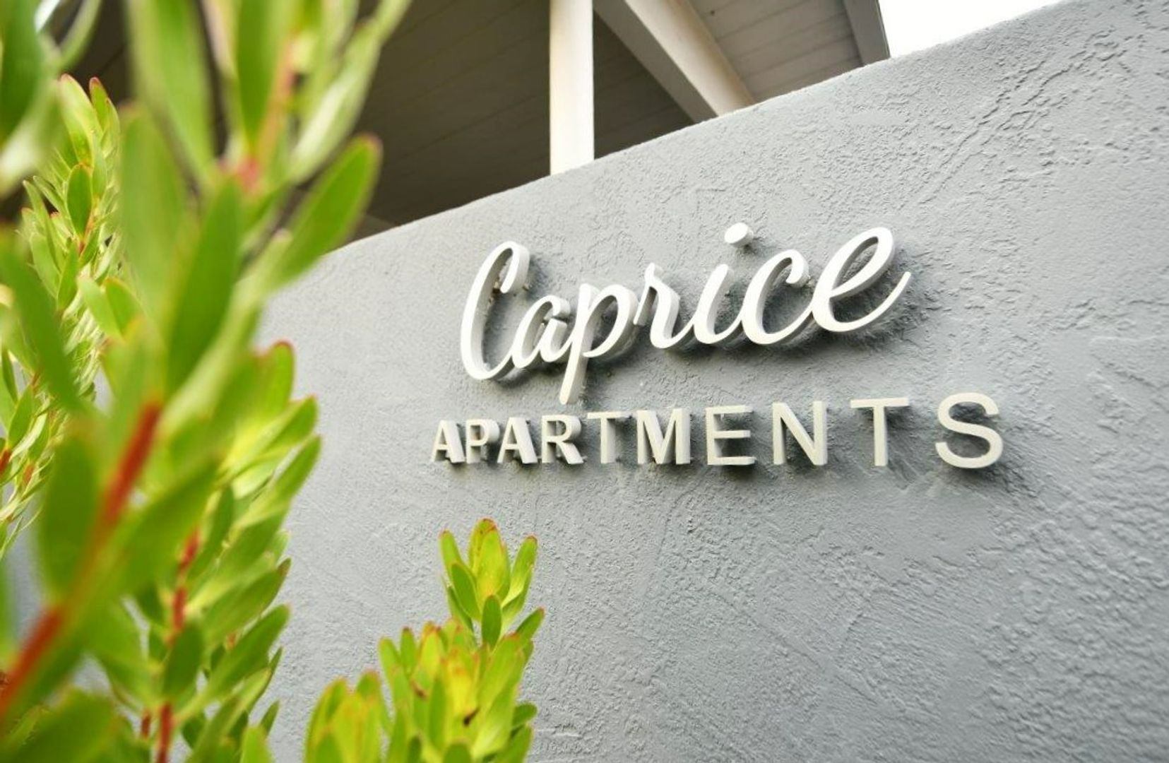 Walnut Creek Apartment: 1726 Lacassie Avenue
