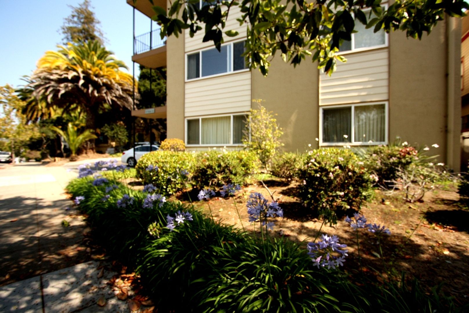 Oakland Apartment: 634 Oakland Avenue