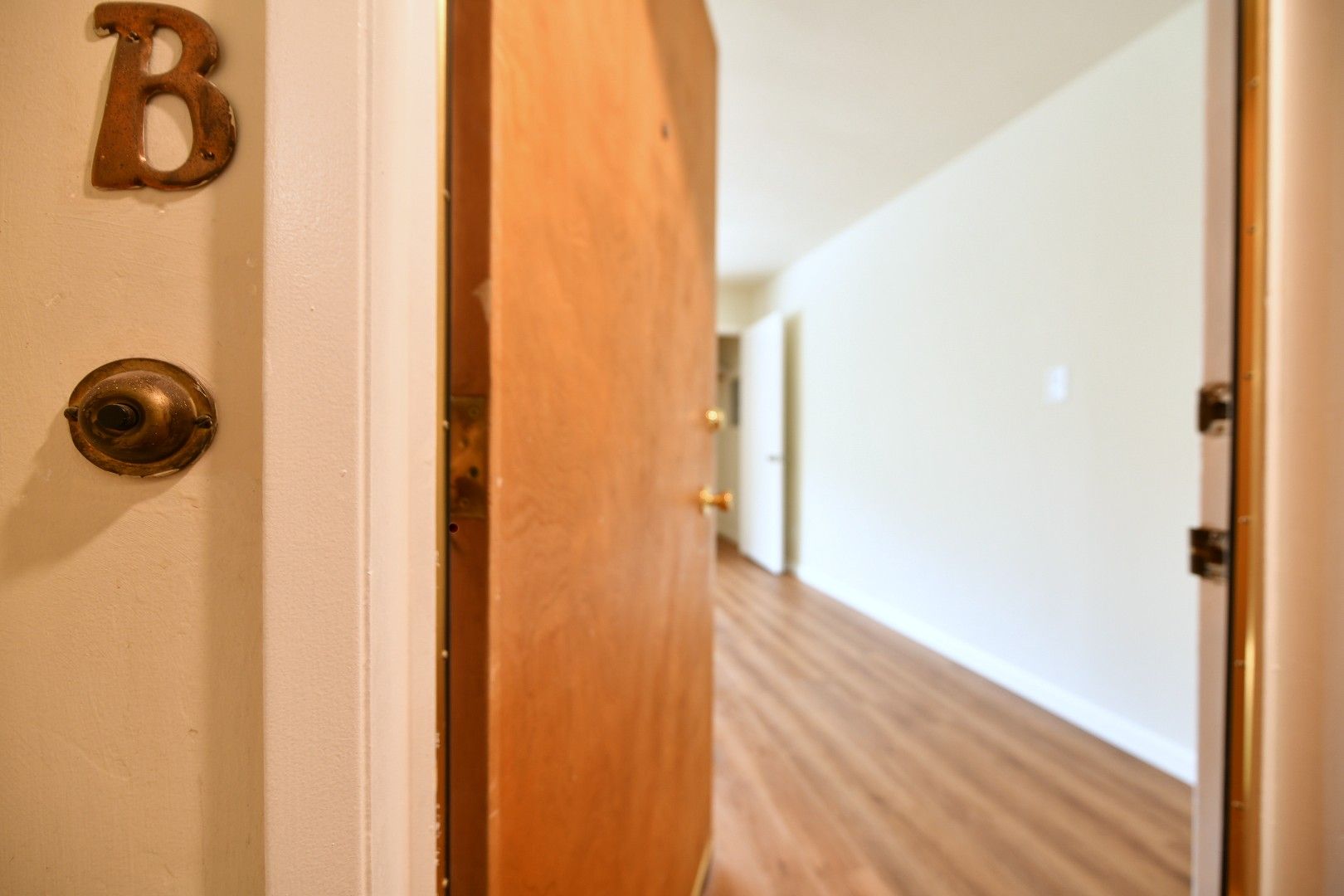 Oakland Apartment: 604 Brooklyn Avenue