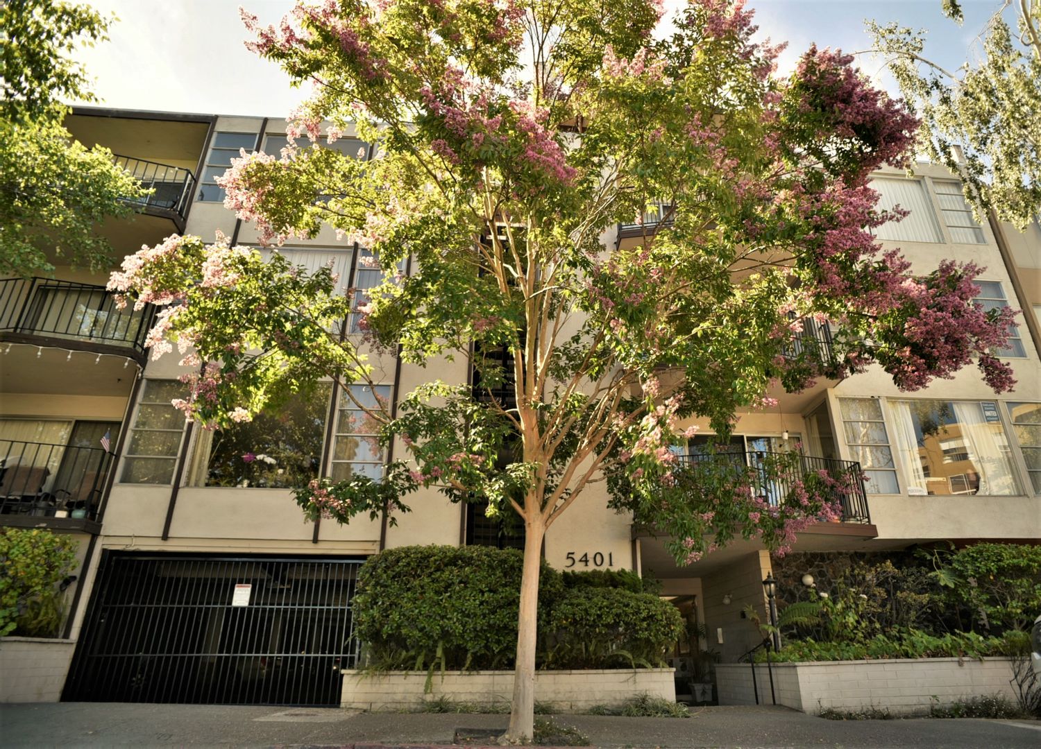 Oakland Apartment: 5401 Broadway Terrace