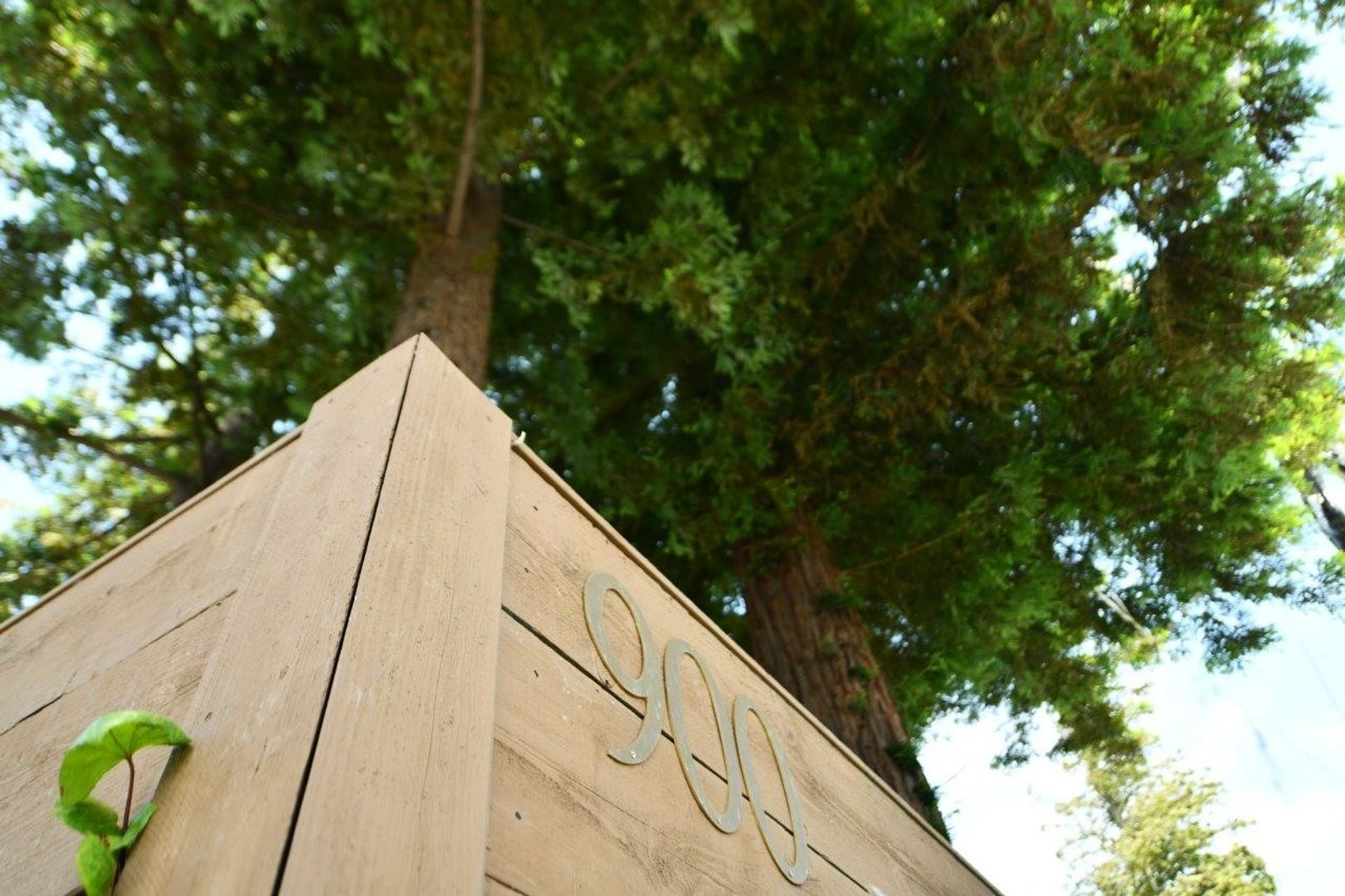 Pinole Apartment: 900 Alvarez Avenue